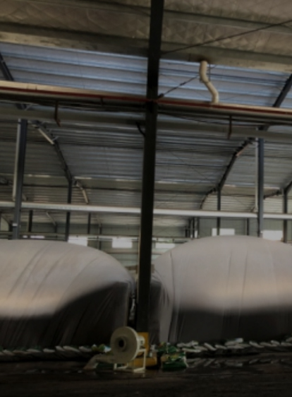 来利国际app(中国)官方正版_最给力的老牌